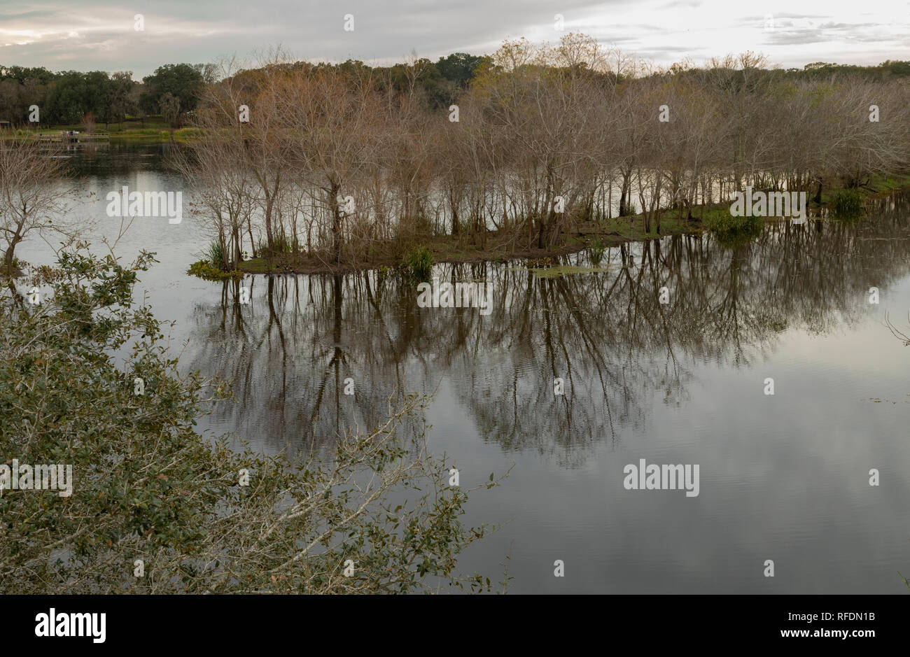 Lake and wooded peninsula in midwinter, in Brazos Bend State Park, Texas. Stock Photo