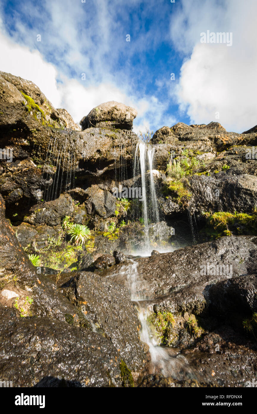 Visitors to Africa's tallest mountain and the world's tallest