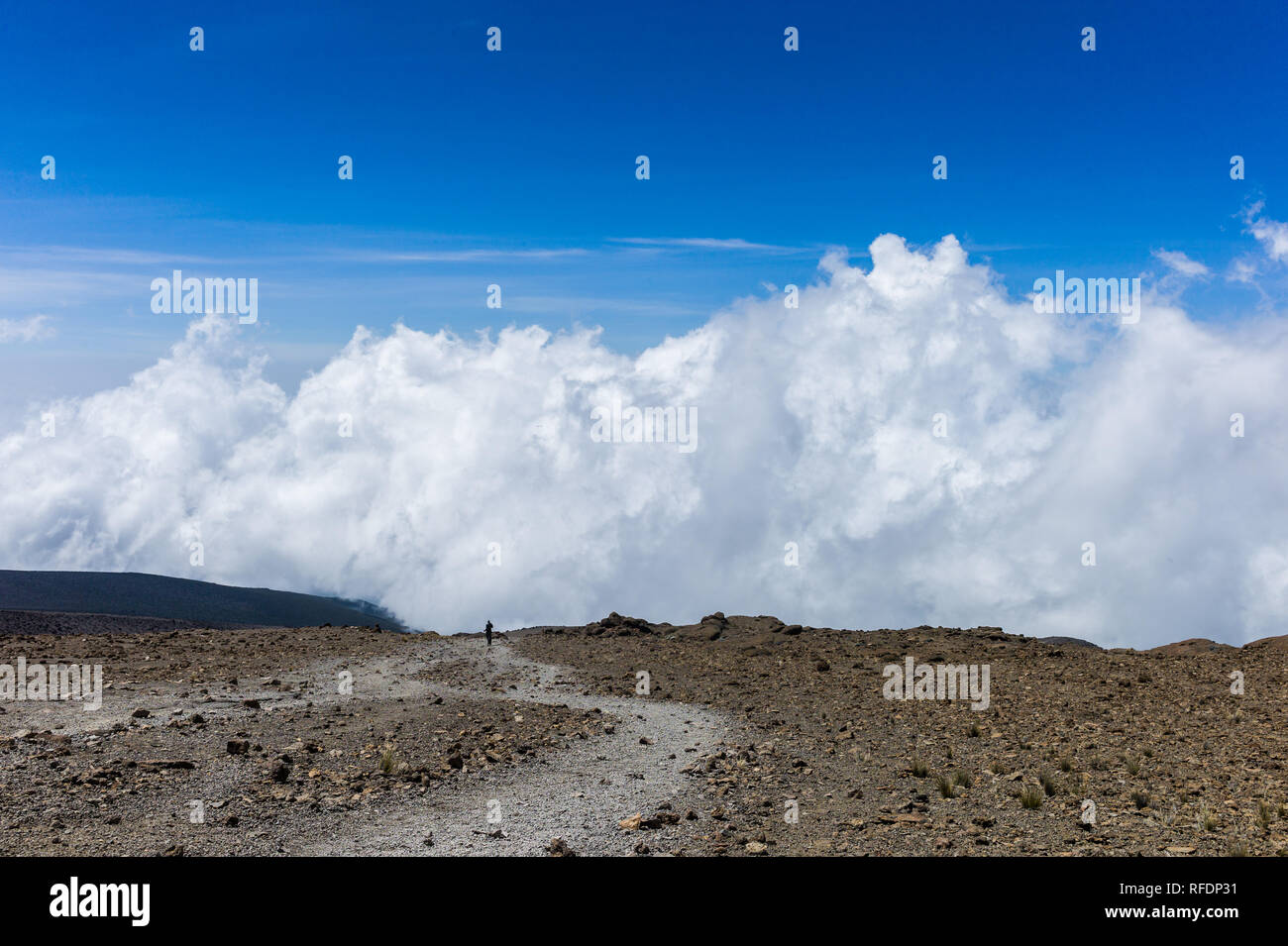 Visitors to Africa's tallest mountain and the world's tallest