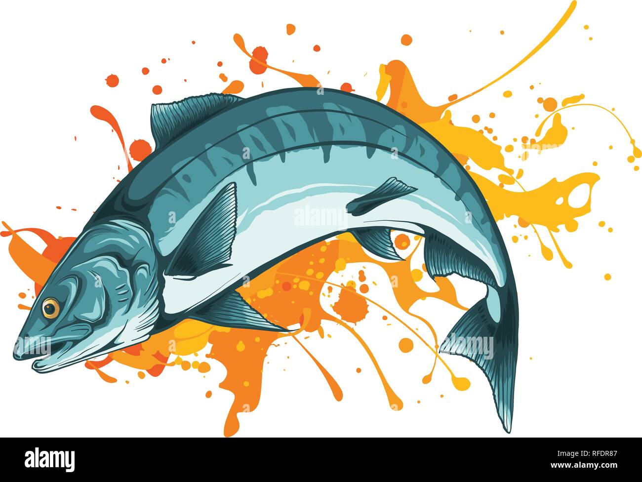 vector illustration salmon fish with color stain Stock Vector