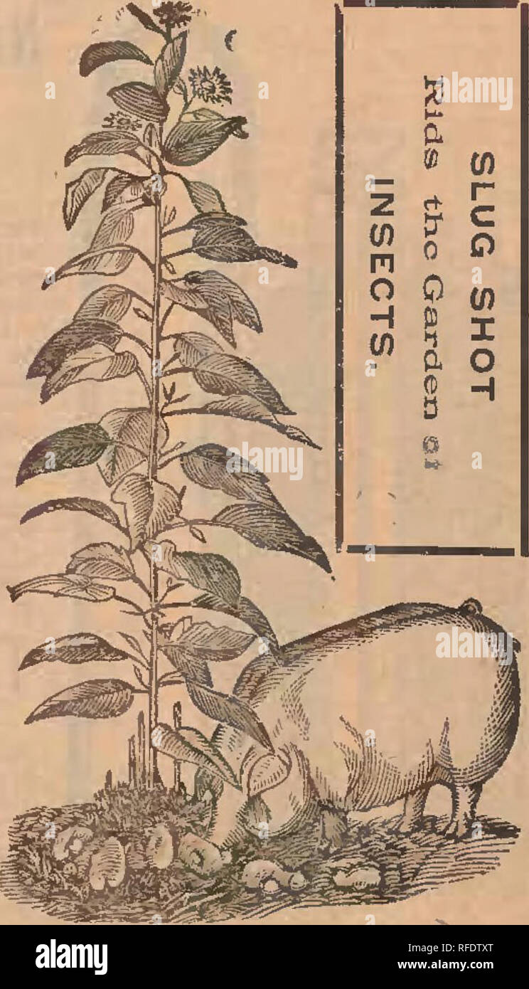 White alkali soil hires stock photography and images Alamy