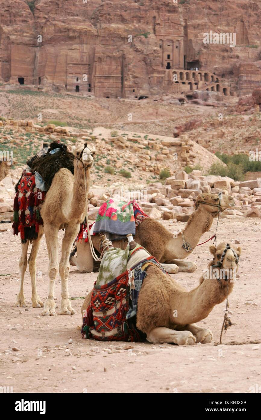 Canyon jordan king’s highway hi-res stock photography and images - Alamy