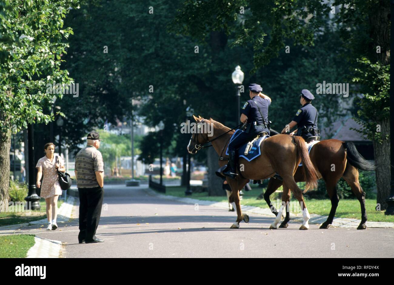 Boston police horse hi-res stock photography and images - Alamy