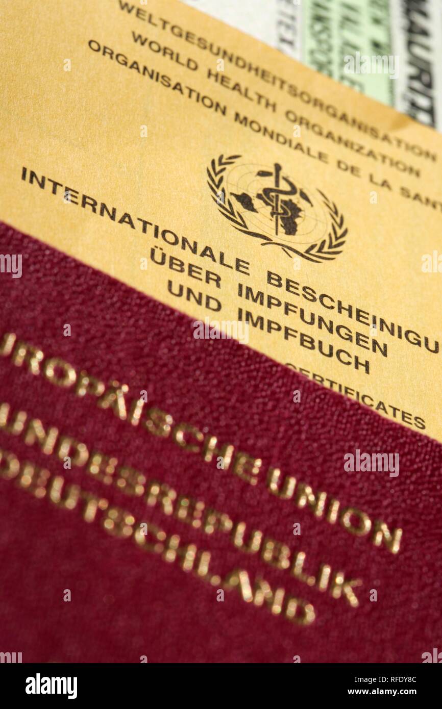 Passport, vaccination record card, Germany Stock Photo