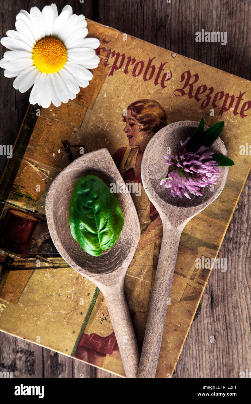 old cookbook with wooden spoon, clover, basil and daisy flower on wooden background Stock Photo