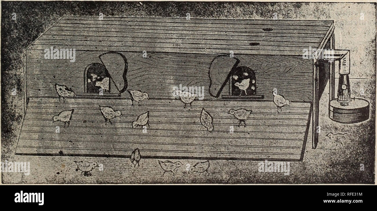 Pacific Seed Company 1902 Nursery Stock California