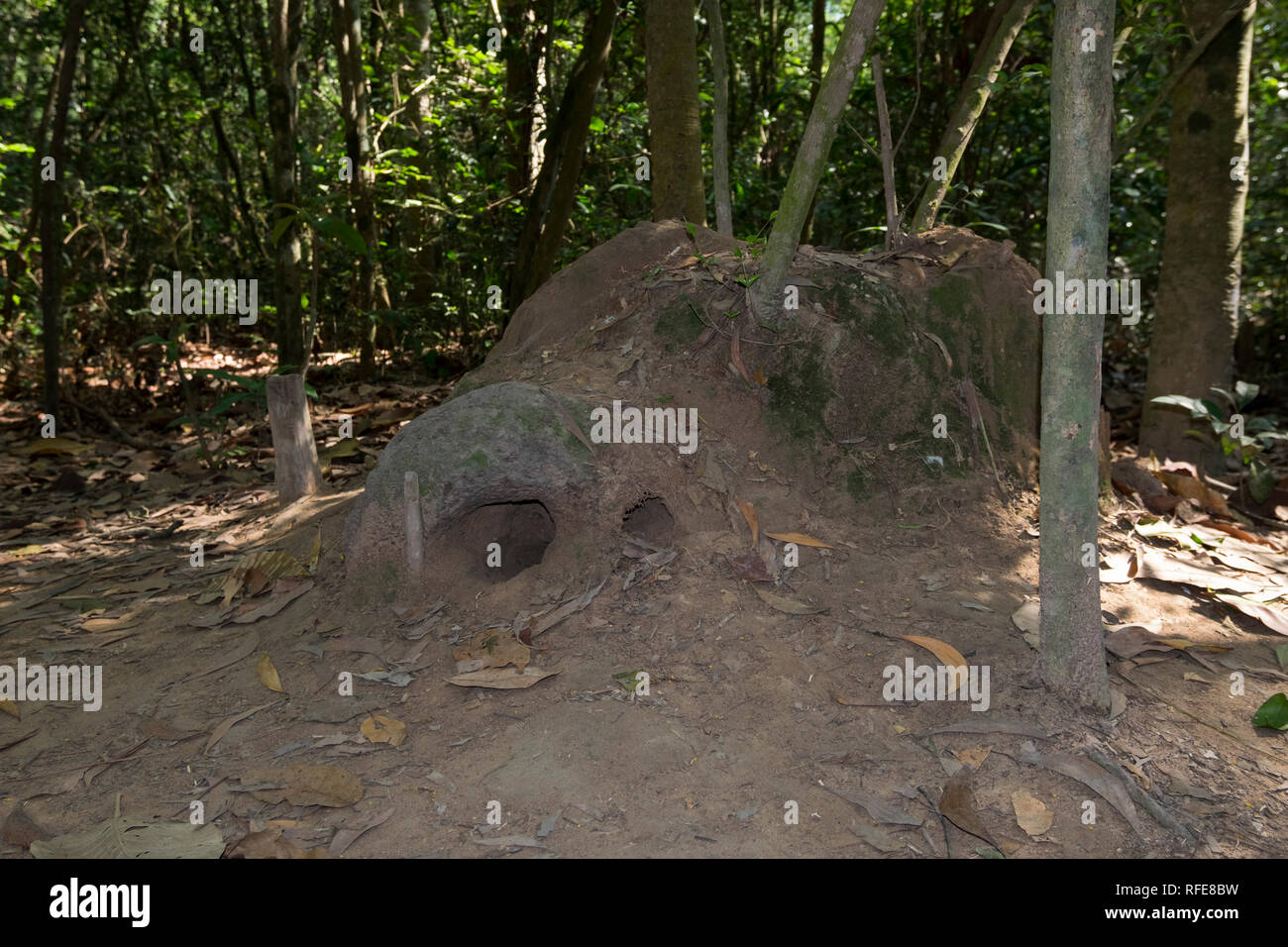 Holes in the mud mounds at Cu Chi tunnel complex. The holes are air shafts for the tunnels. In
