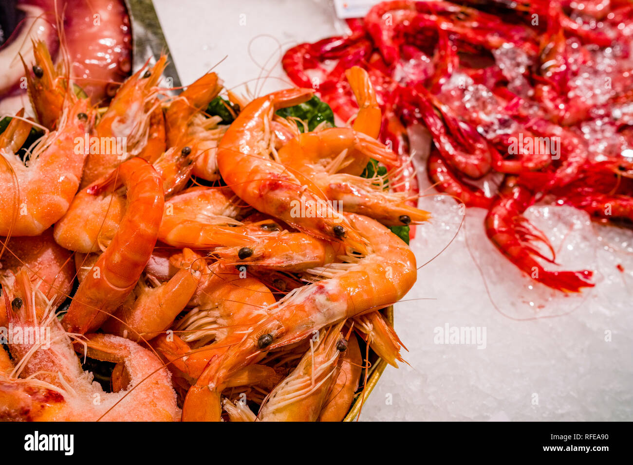 Gamba prawns hires stock photography and images Alamy