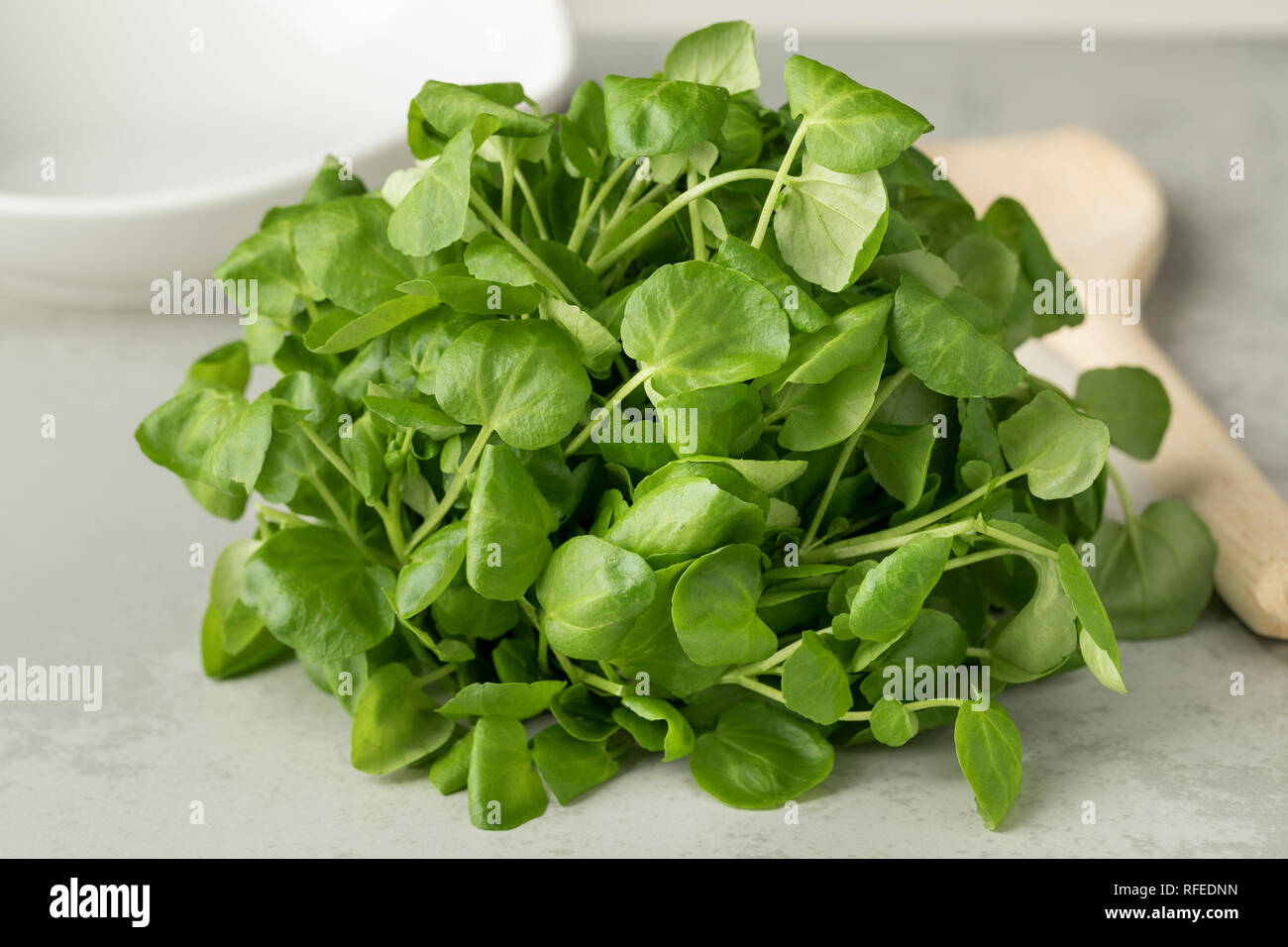 Fresh raw green organic watercress Stock Photo