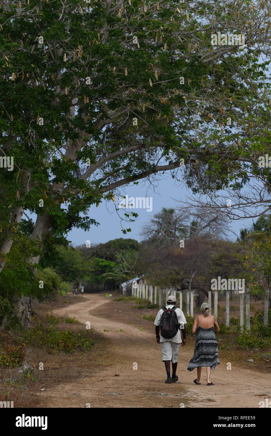 Ibo Island Lodge Hotel, Ibo Island, Mozambique, East Africa. The path from the airport to the lodge. Stock Photo