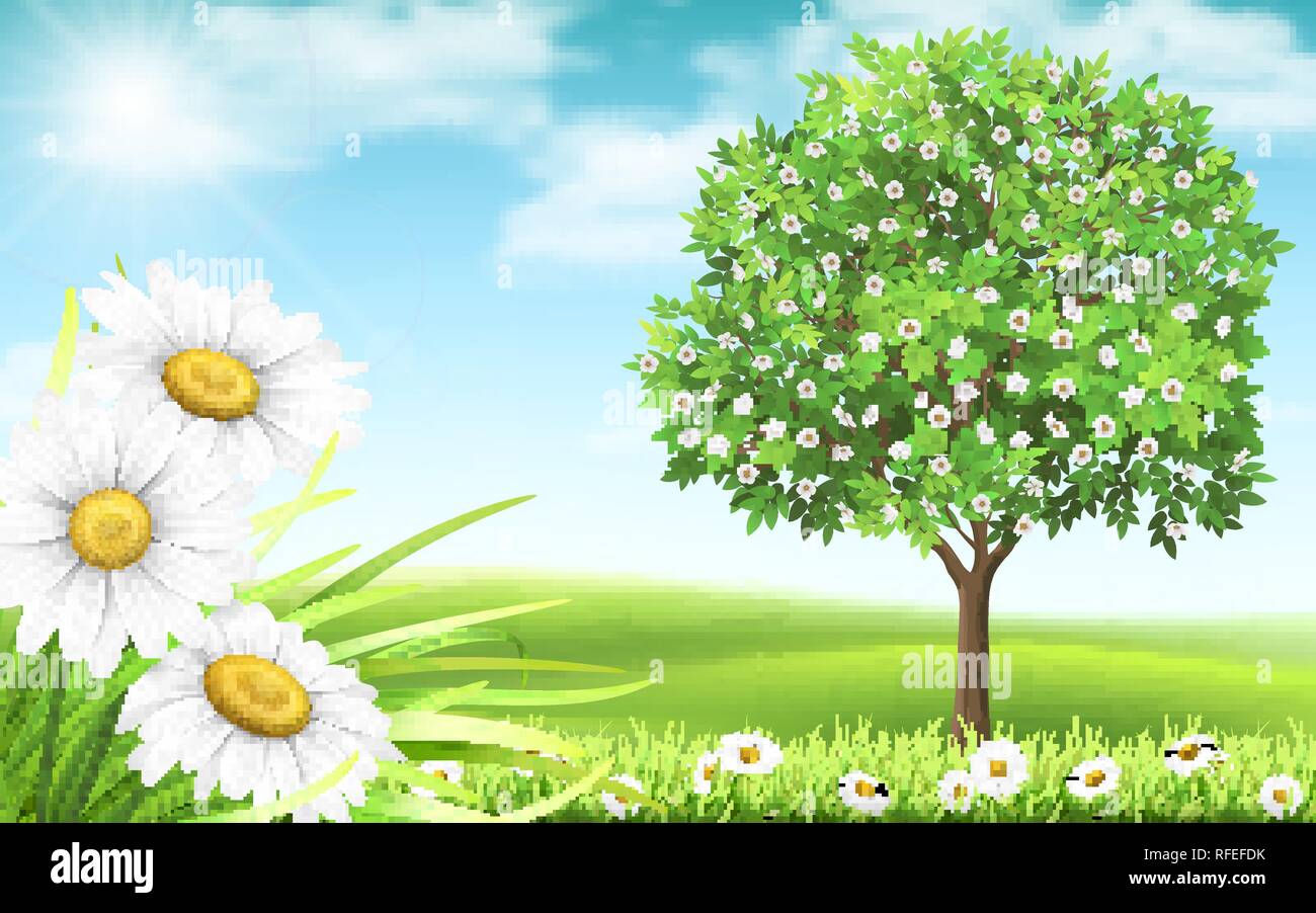Landscape with daisy in the foreground and tree on a background of hills. Spring country view. Stock Vector