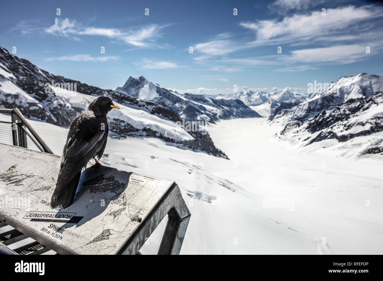 Switzerland, Alps, Berner Oberland, Grindelwald, Jungfraujoch. Spring