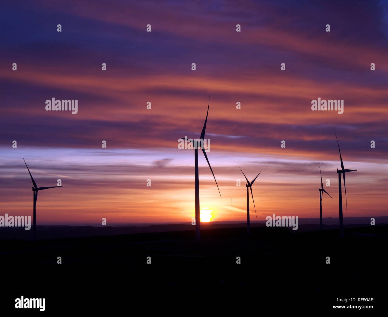 Wind farm at dawn, Monynut edge, Lammermuir hills near Dunbar, Scotland Stock Photo