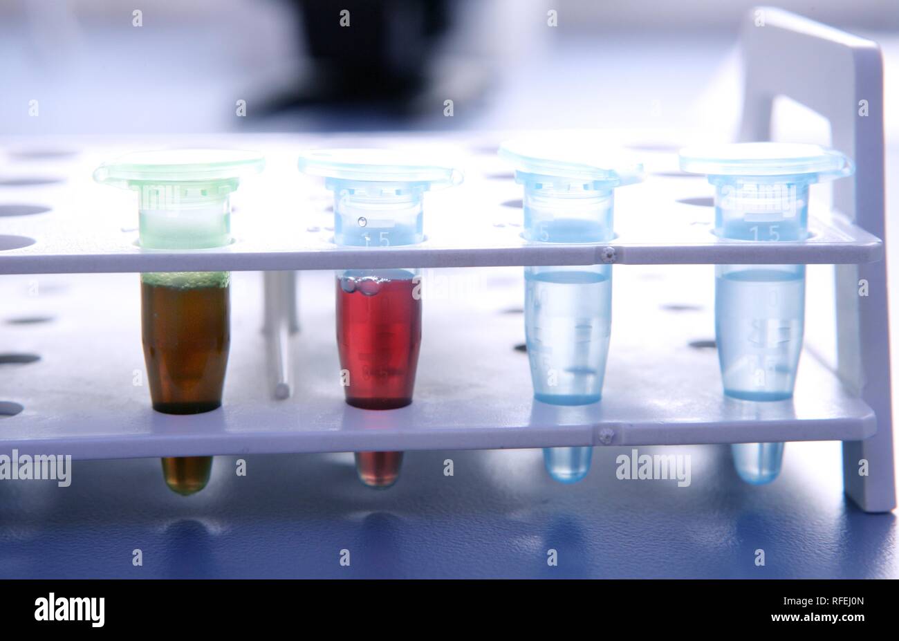 Bio technology in a bio laboratory, analysis of chemical an biological