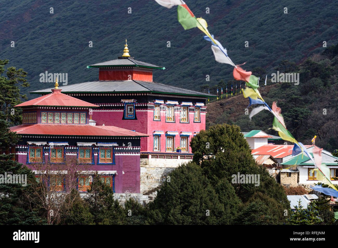Tengboche monastery with the forest in the background, Sagarmatha, Nepal Stock Photo