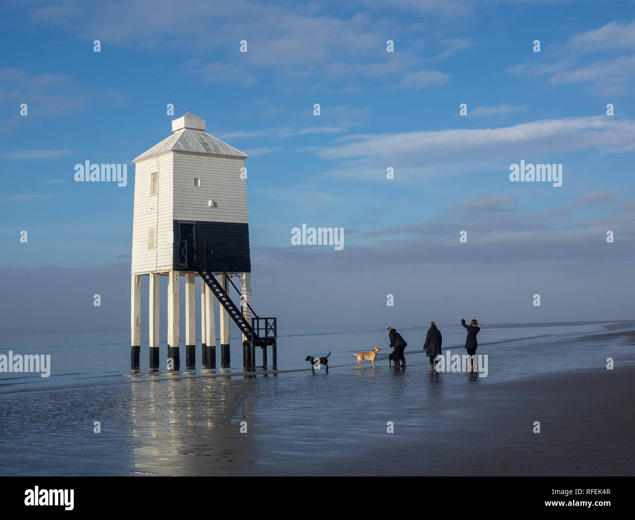 People with dogs, dog walkers enjoy the Low Lighthouse and beach as the morning mist is burnt off. Burnham on Sea, Somerset. Stock Photo