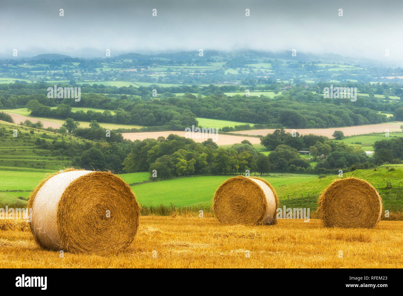 Straw Bales at harvest time, Wiltshire Stock Photo