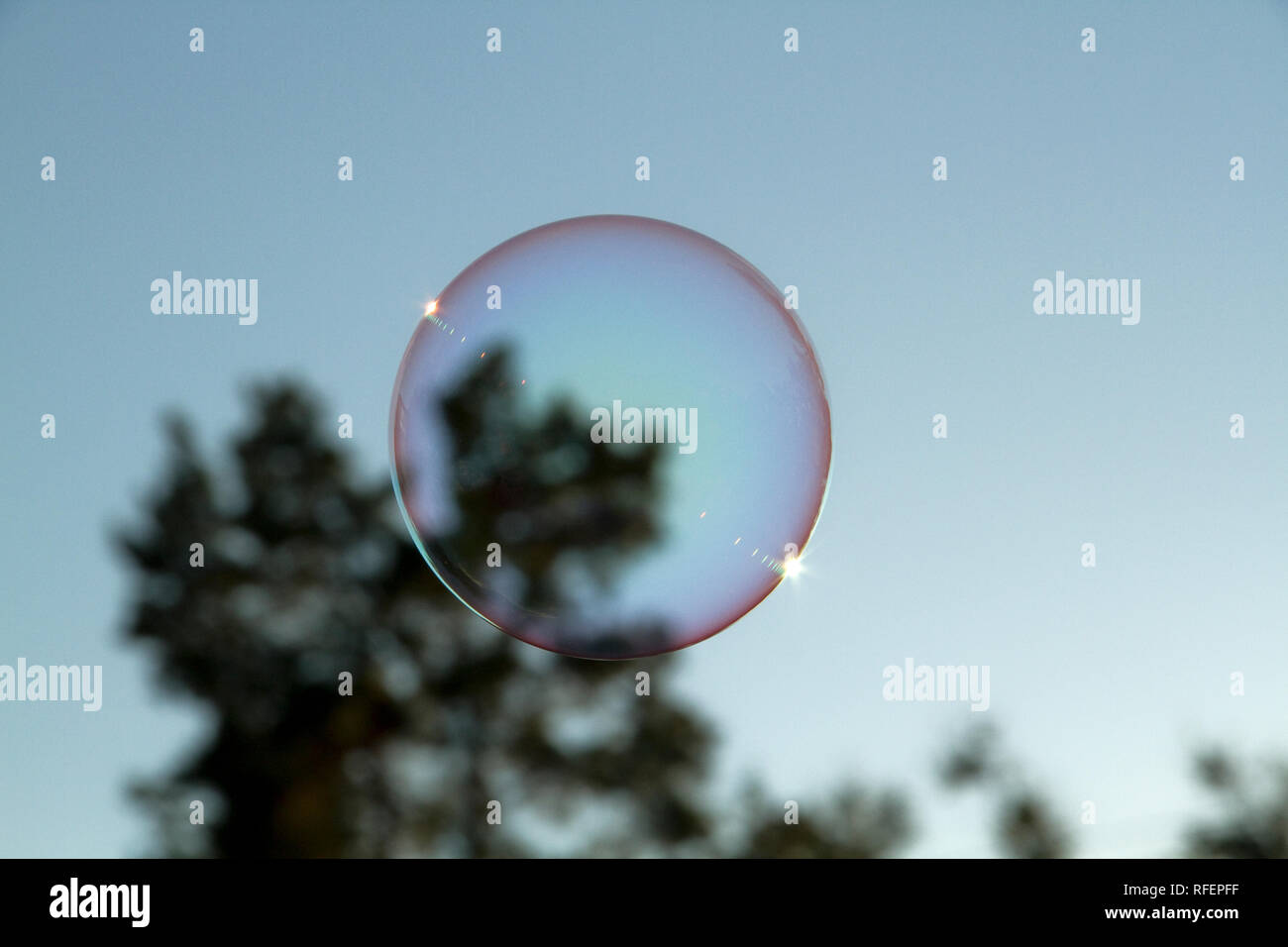 Big Soap bubble floating in air with tree behind. Prism Stock Photo - Alamy