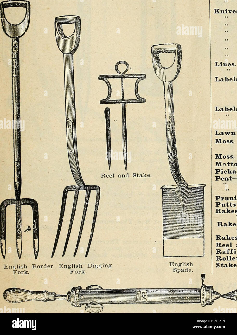 une montre in english