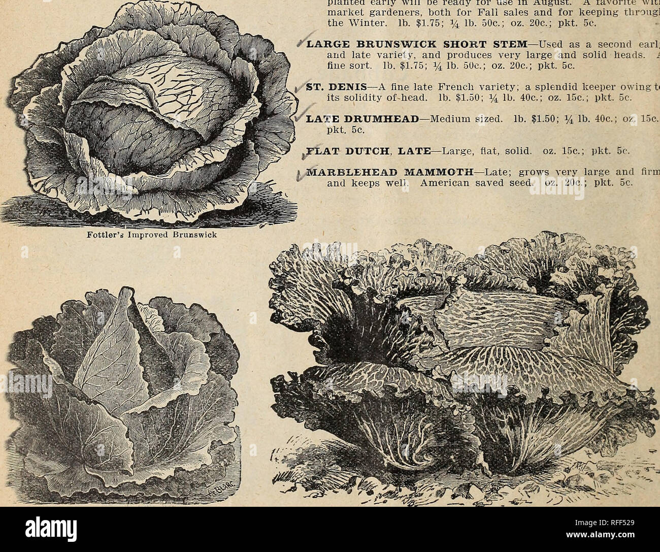 Wm Ewing Co S Seed Catalogue Nursery Stock Que Bec Province