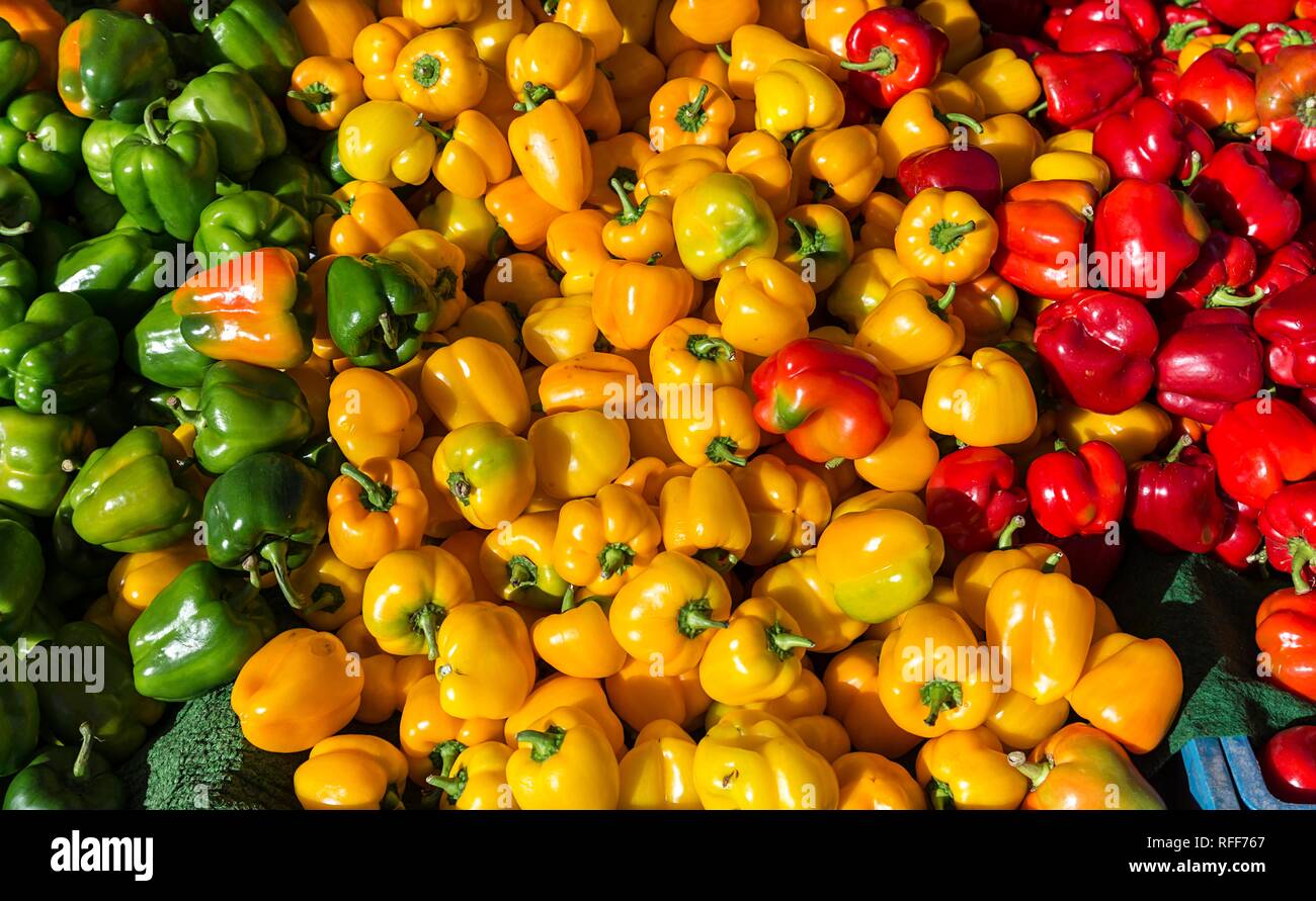 Bell pepper (Capsicum) green, yellow, red, at a market stall, Enschede, Netherlands Stock Photo