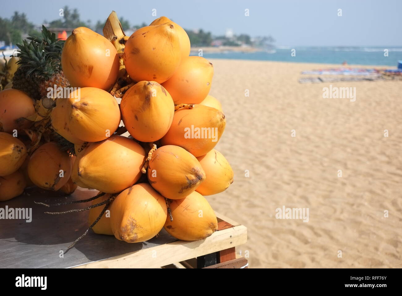 King coconuts for sale on beach in Sri Lanka Stock Photo