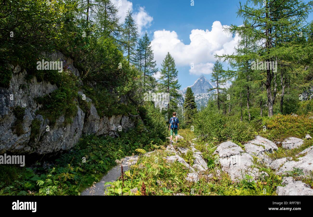 Hiker On Hiking Trail To Karlingerhaus Behind Watzmann Konigssee