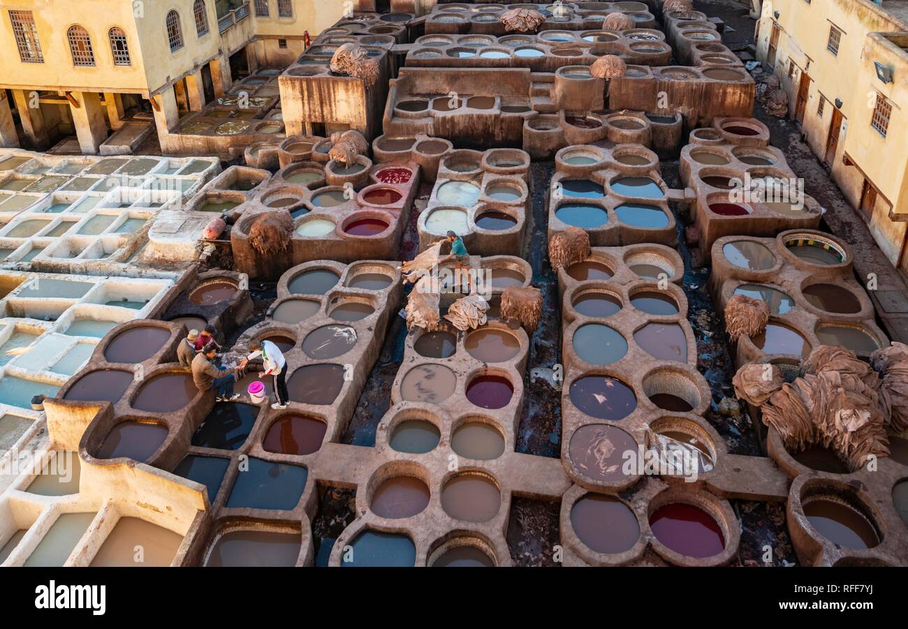 View over tannery, workers dyeing leather, tanks with dye, dyeing plant, tannery, tannery Chouara, tannery and dyeing district Stock Photo