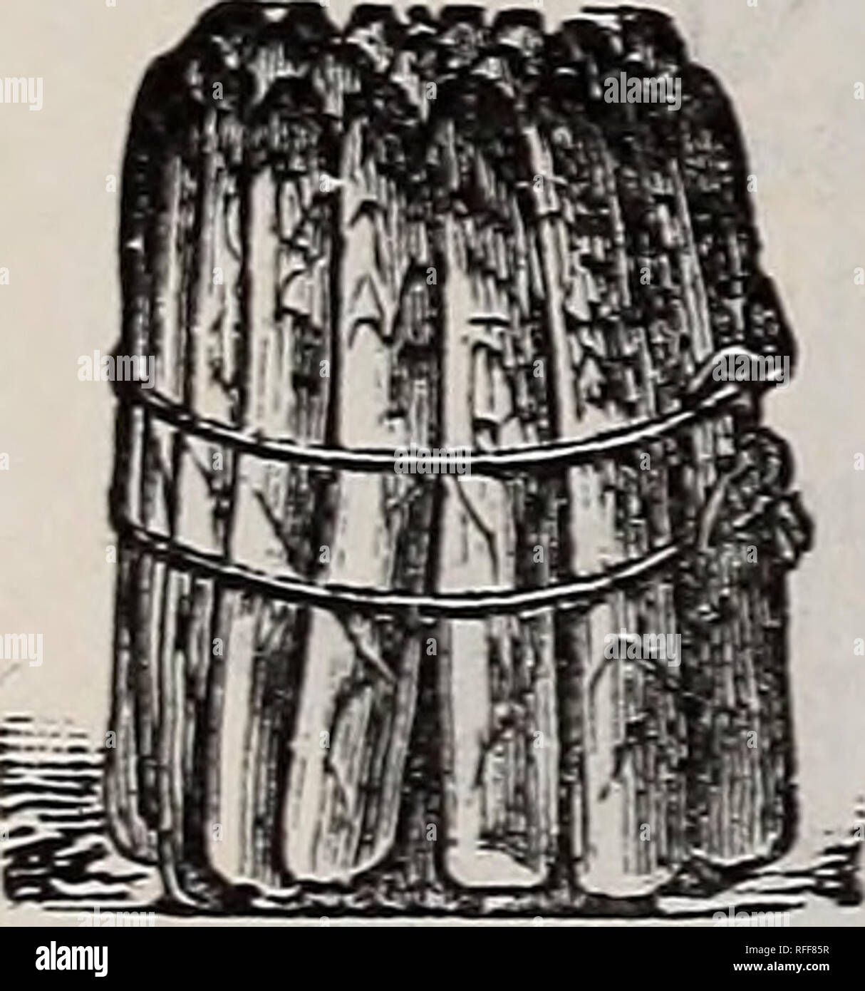 . Archias' garden, farm and poultry annual. Nursery stock Missouri