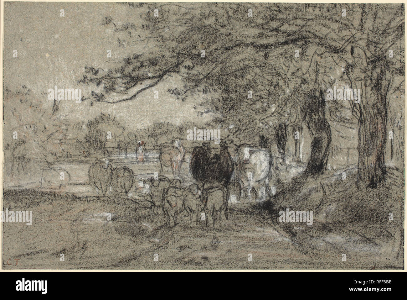 Cows Under Trees. Dimensions: sheet: 21.1 x 31.7 cm (8 5/16 x 12 1/2 in.). Medium: charcoal, with white and orange chalk on blue-gray laid paper. Museum: National Gallery of Art, Washington DC. Author: CONSTANT TROYON. Stock Photo