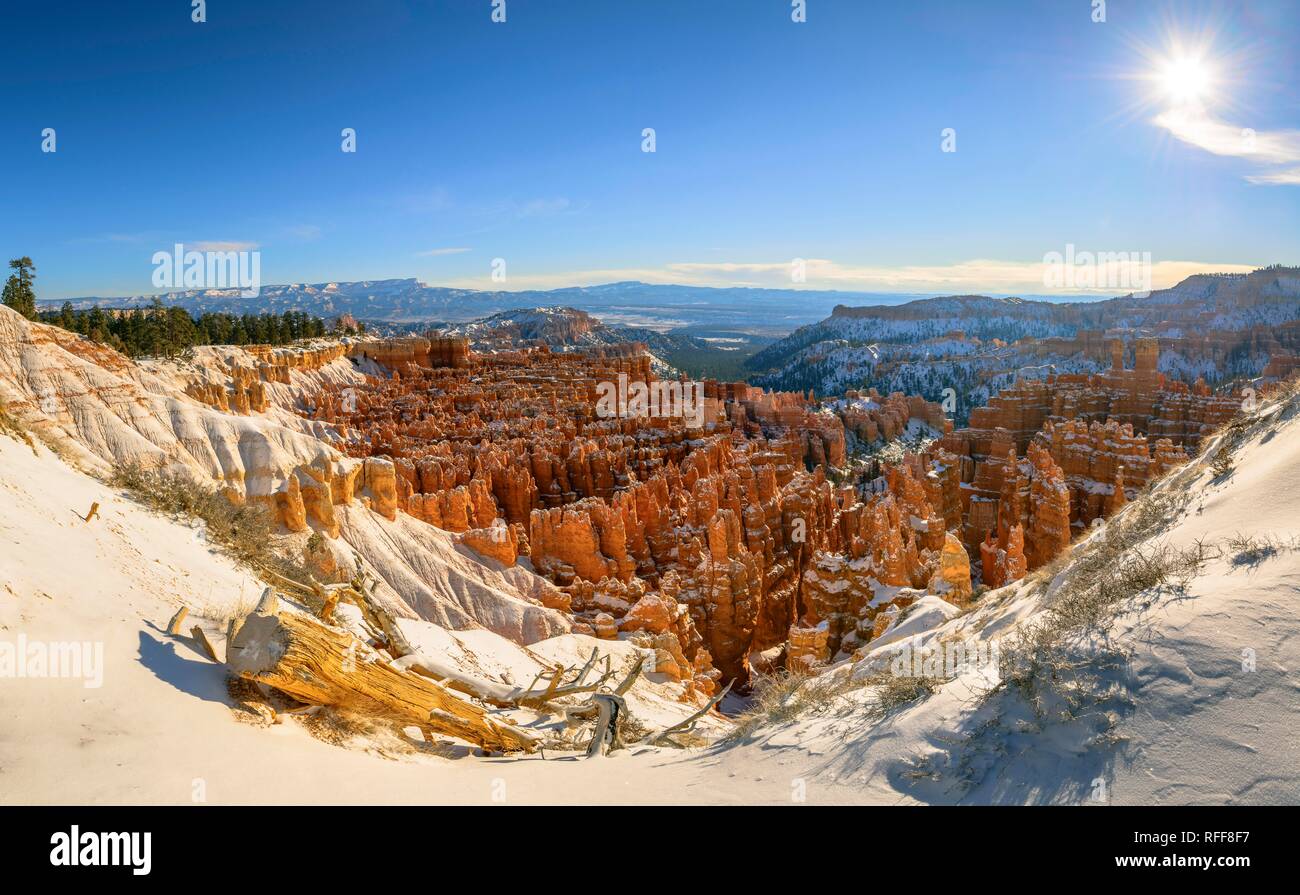 View of the amphitheatre, morning light, snow-covered bizarre rocky landscape with Hoodoos in winter, Rim Trail Stock Photo