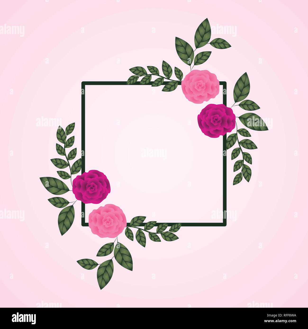 Square Border Roses flowers roses decoration square frame Stock Vector Image & Art - Alamy