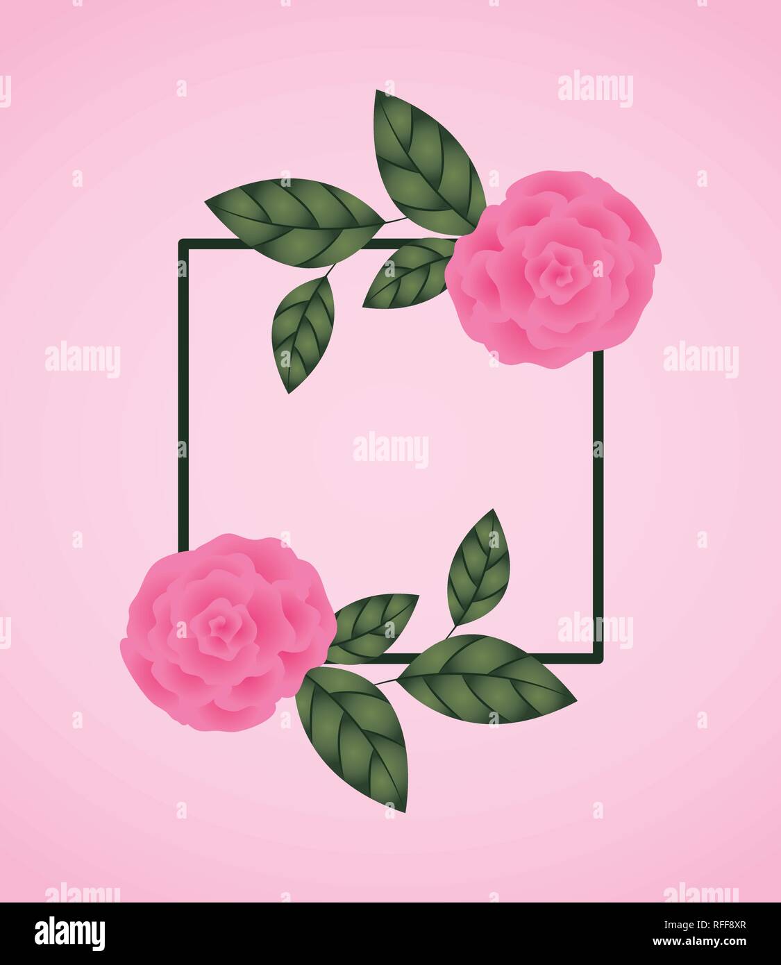 Rose For Square flowers roses decoration square frame Stock Vector Image & Art - Alamy