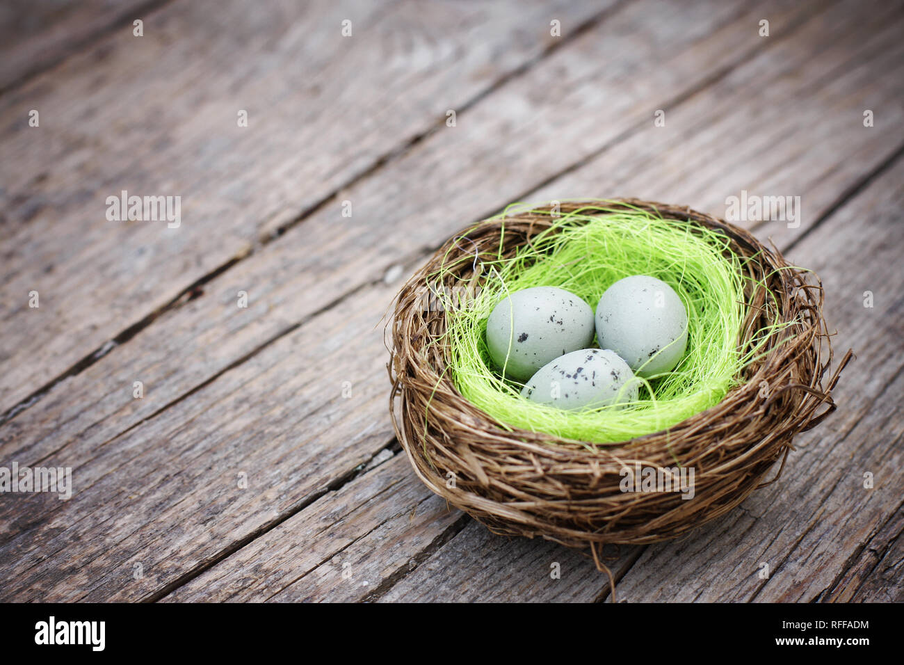 Eggs in bird nest hi-res stock photography and images - Alamy