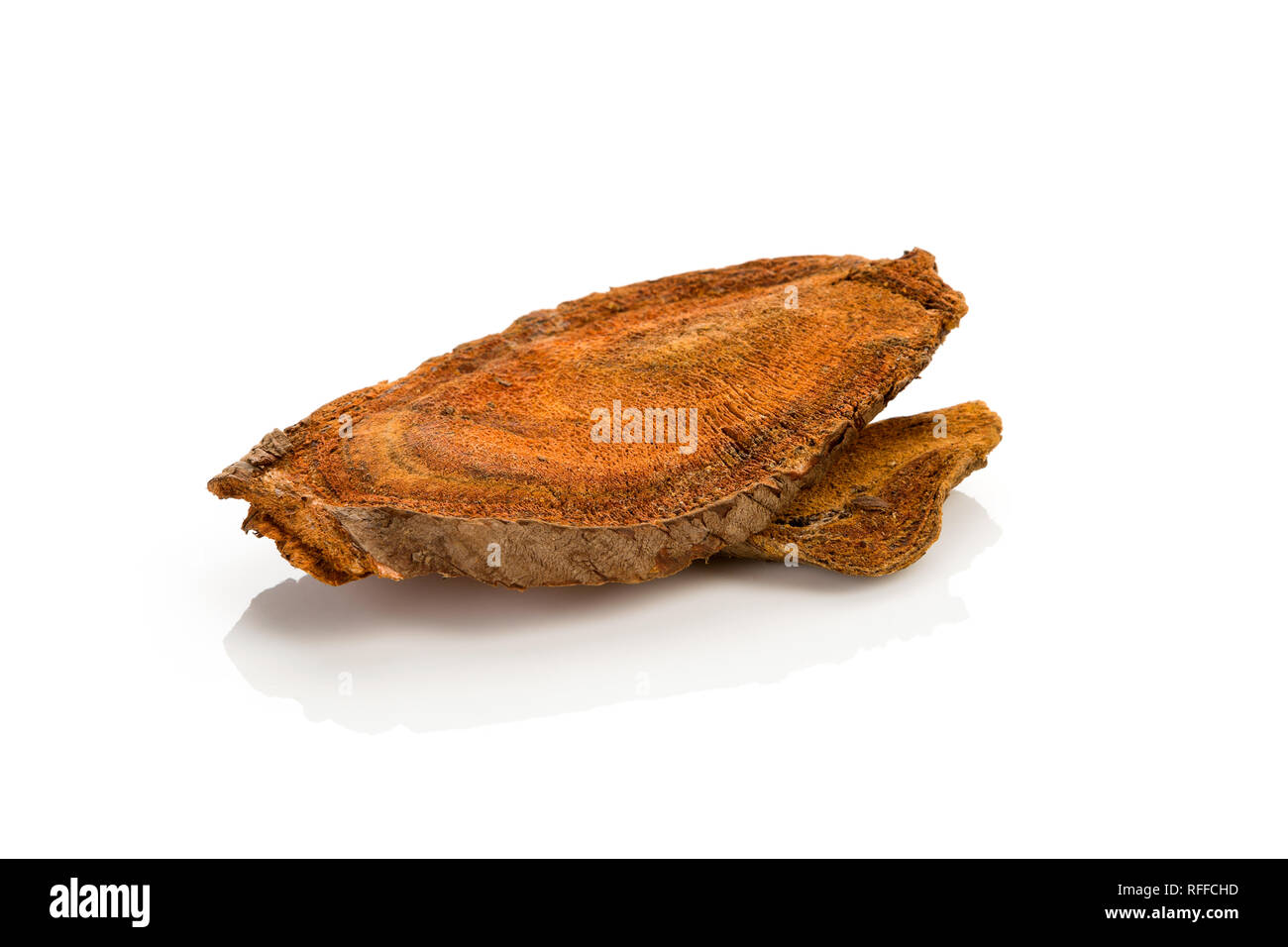 Rhubarb [Da Huang] root isolated on white background. Traditional Chinese medicine. Activate Blood Circulation. Stock Photo