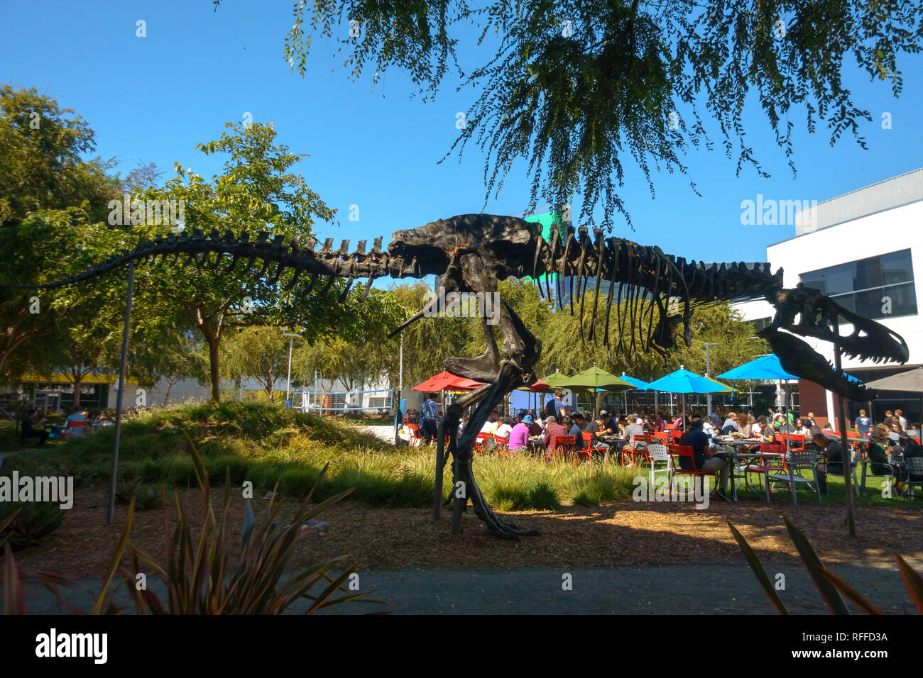 Employees working outdoors at Googleplex headquarters main office Stock ...