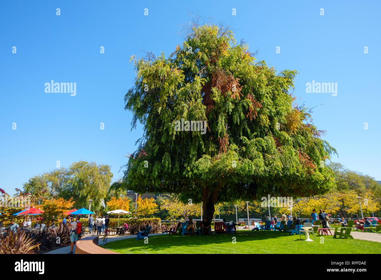 Employees working outdoors at Googleplex headquarters main office Stock ...