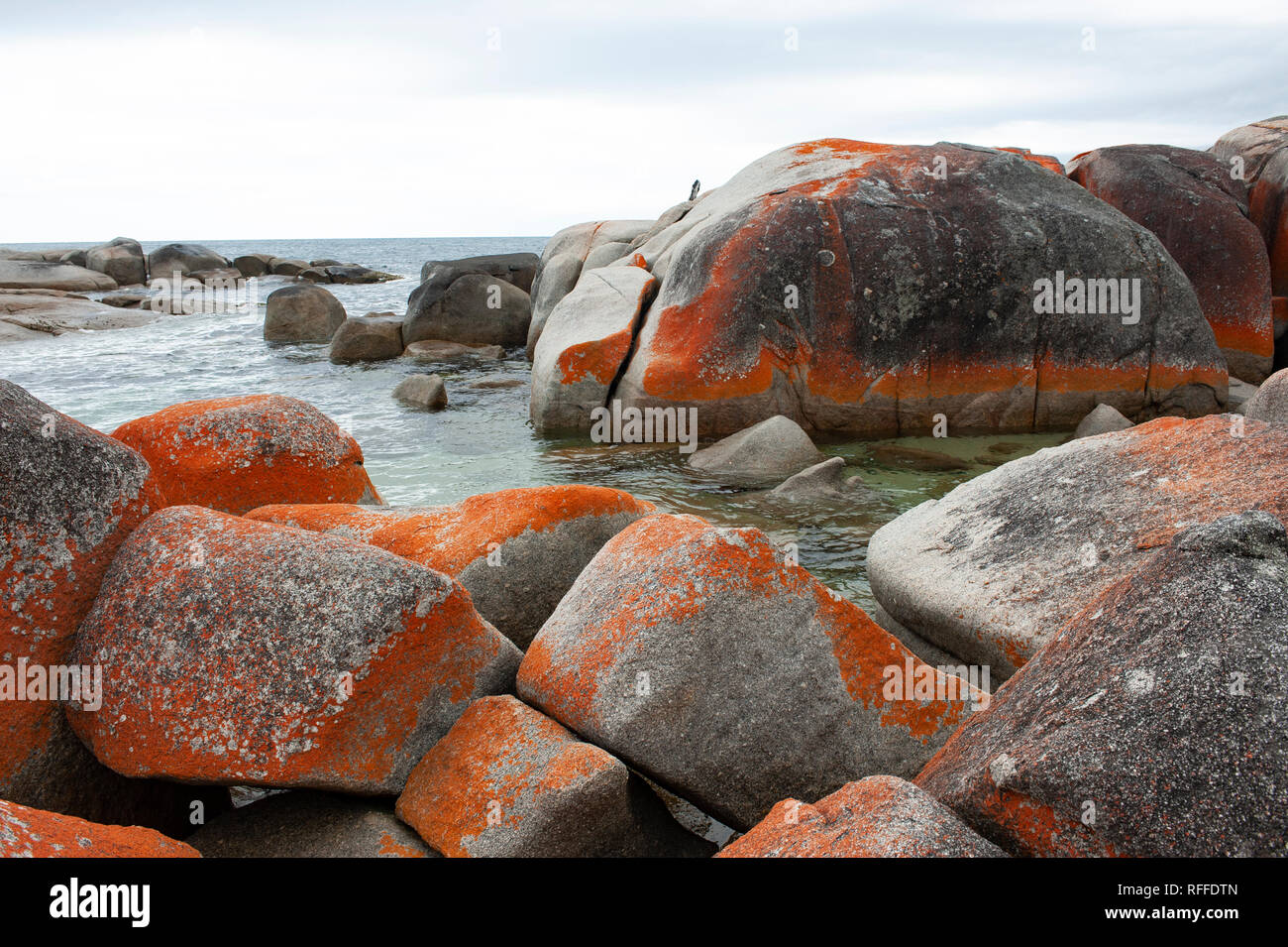 Bay of Fires, Tasmania, Australia Stock Photo