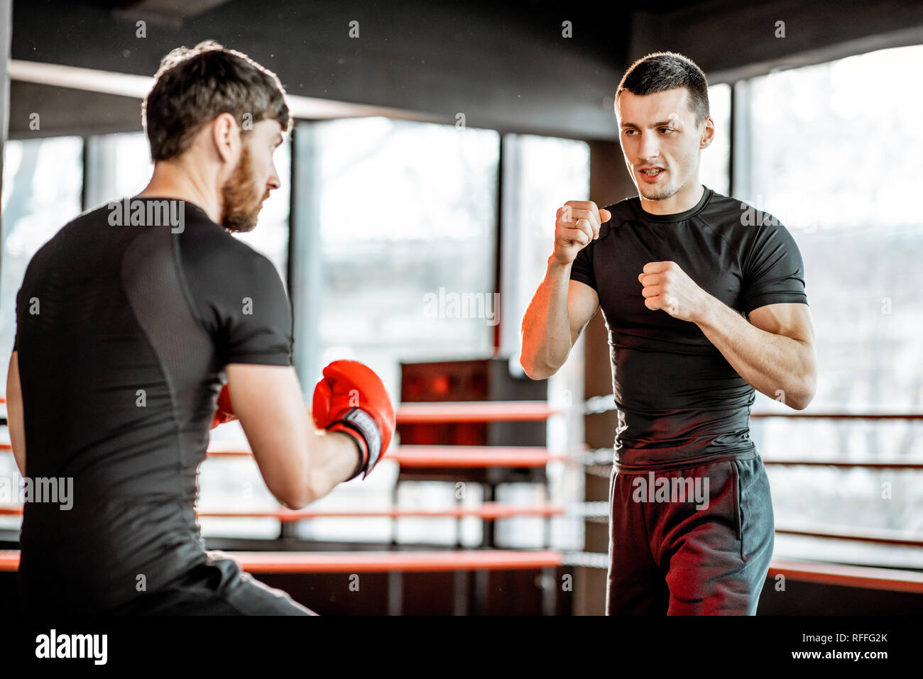 Boxing trainer showing to a man how to fight, teaching to box in the boxing  ring at the gym Stock Photo - Alamy