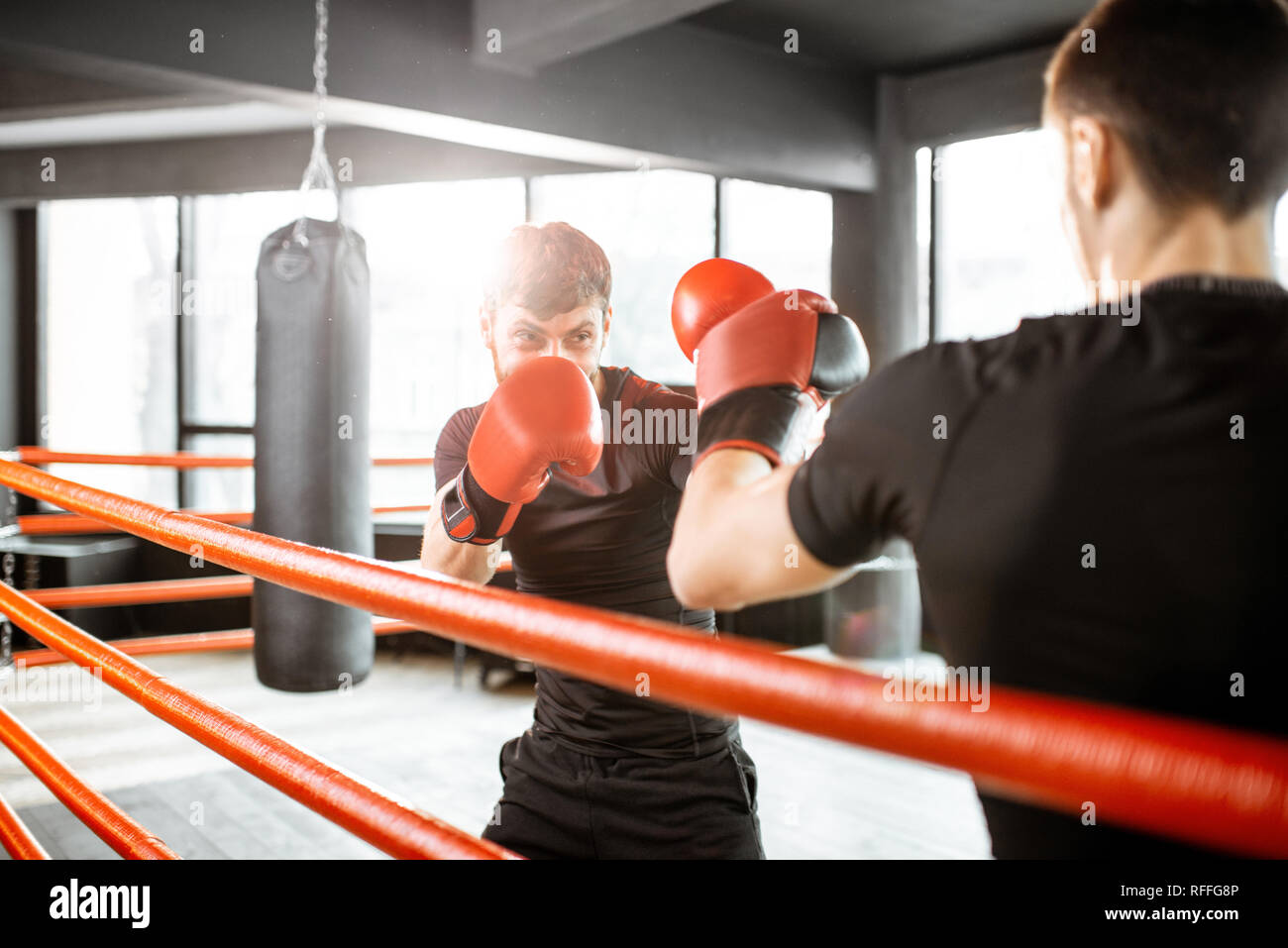 Two boxers sparring hi-res stock photography and images - Alamy