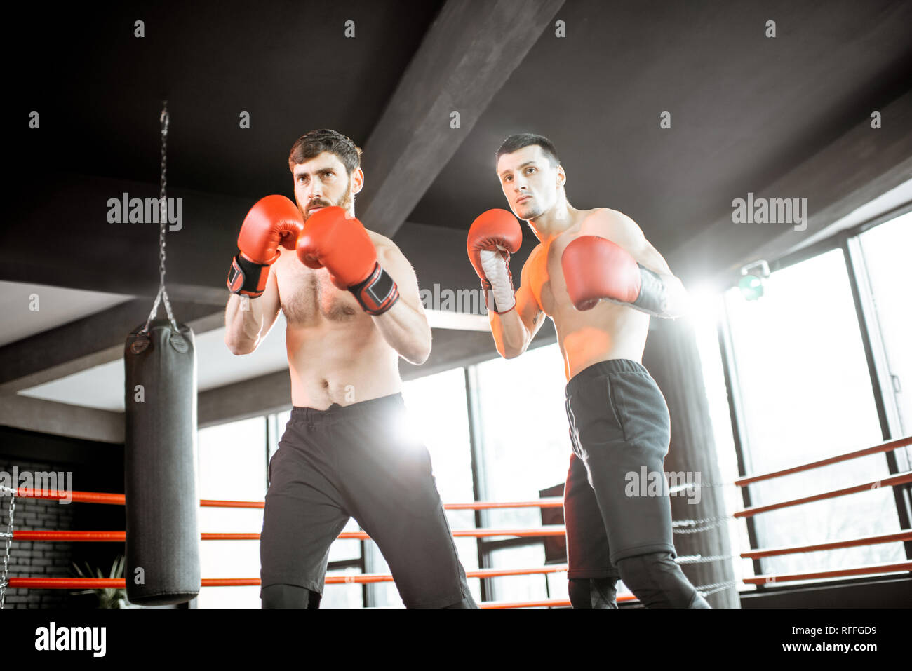 Portrait of a two professional boxers training together on the boxing ...
