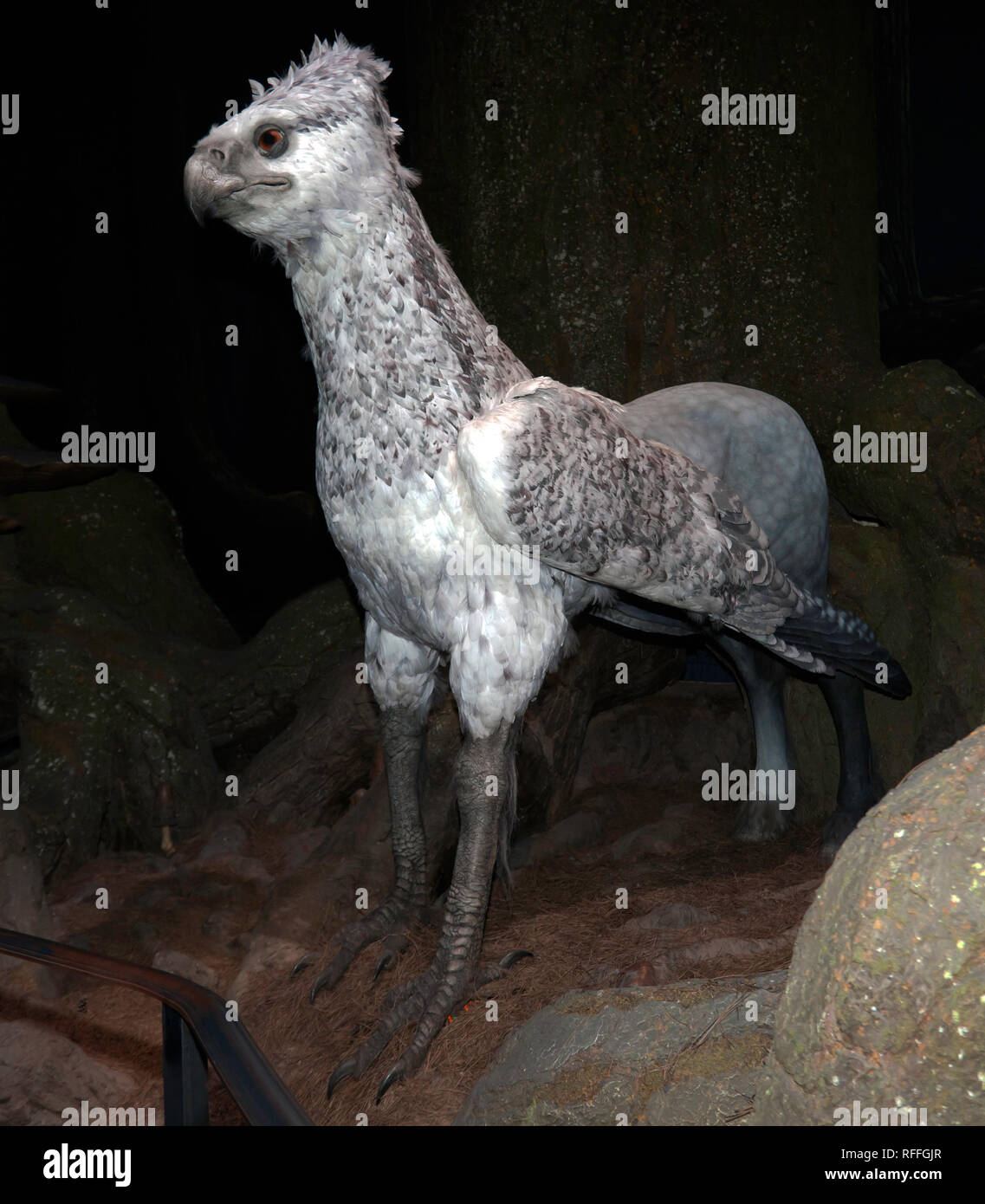 Buckbeak the hippogriff from Harry Potter and the Prisoner of Azkaban,  Warner Brothers Studio Tour, Leavesdon Stock Photo - Alamy