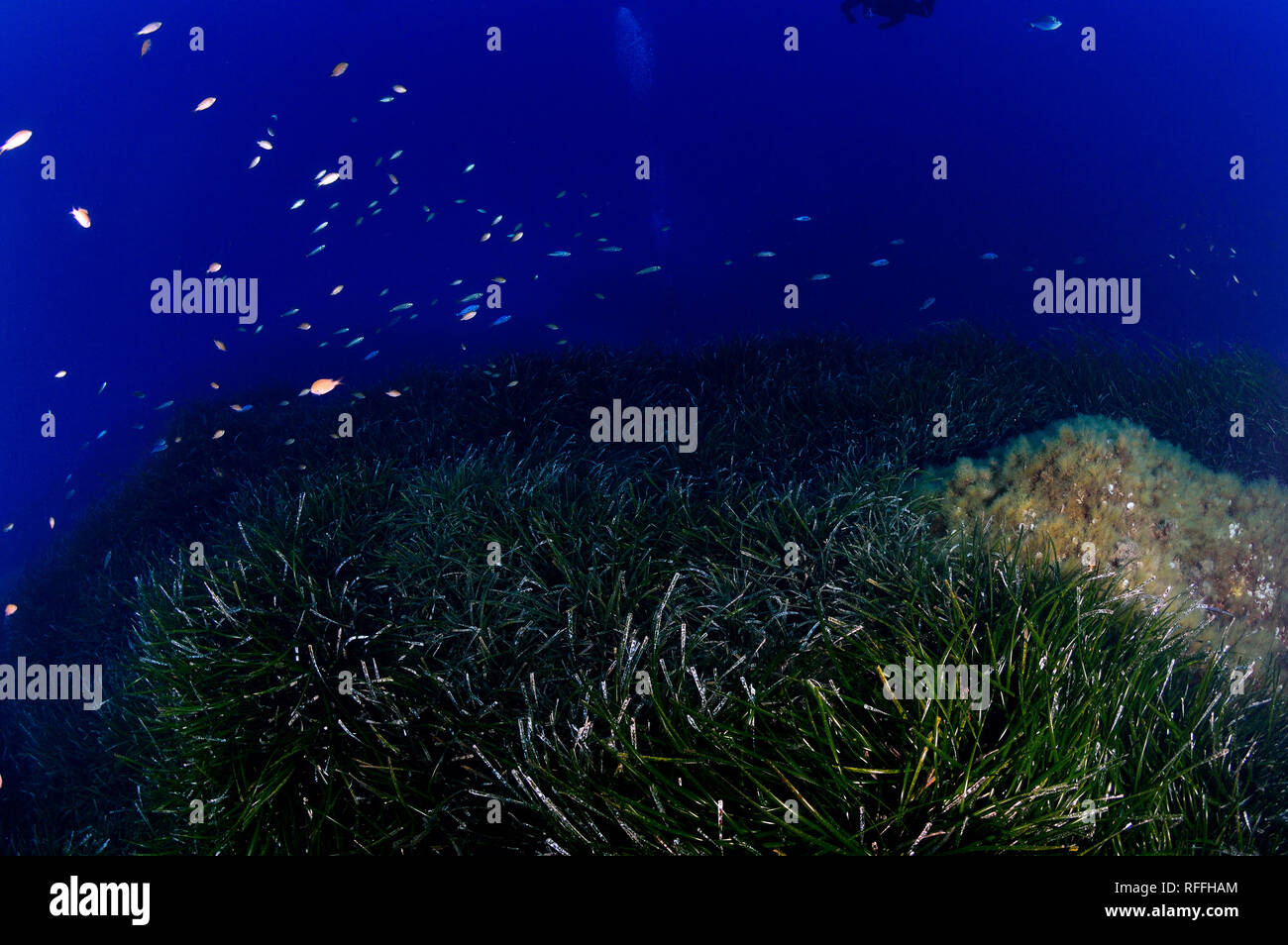 Technical Scuba Diving in Malta Stock Photo Alamy