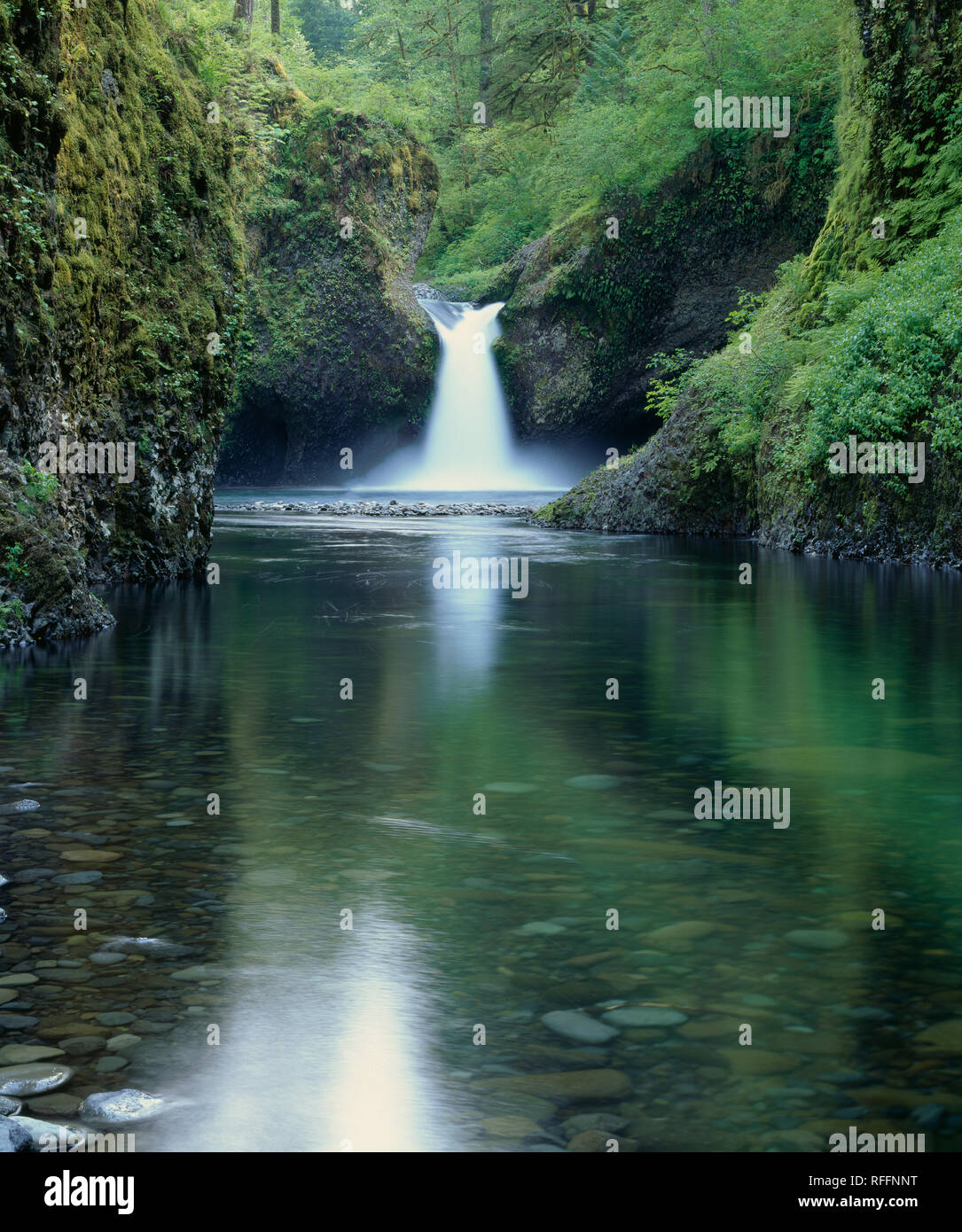 Featured image of post Steps to Prepare Punch Bowl Falls Columbia River Gorge National Scenic Area