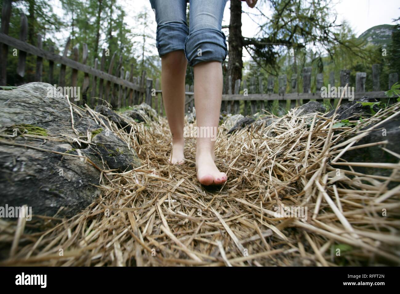 AUT, Austria, Fulpmes, Stubai Valley: Hiking path in the mountains to the Schlickeralm. A barefoot walking path. Were hiker can Stock Photo