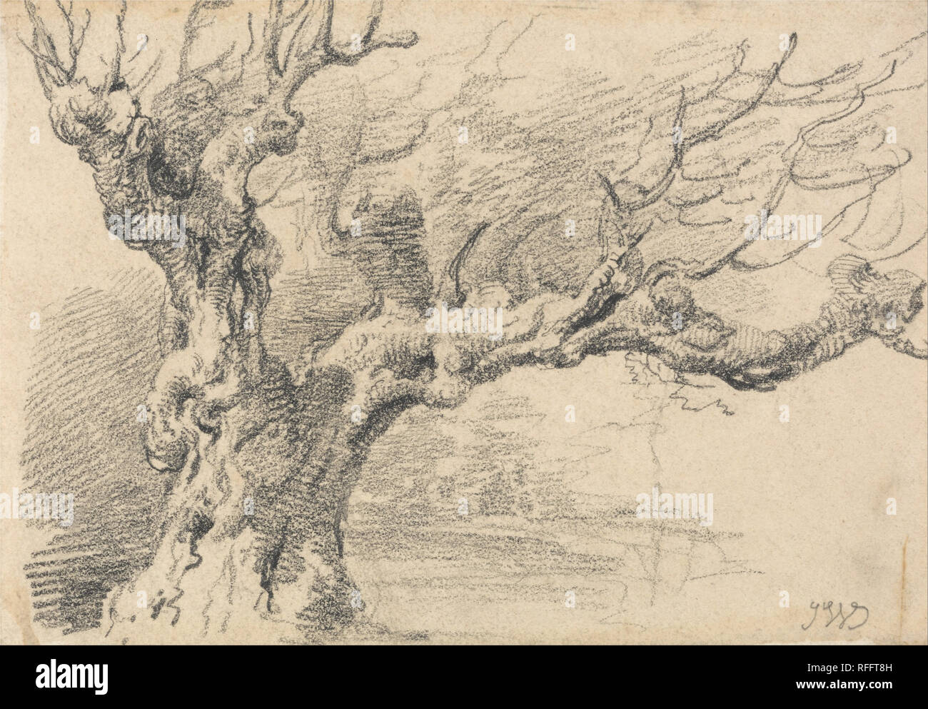 An Old Oak Tree. Drawing. Graphite on medium, smooth, cream wove paper. Height: 137 mm (5.39 in); Width: 197 mm (7.75 in). Author: James Ward. Stock Photo