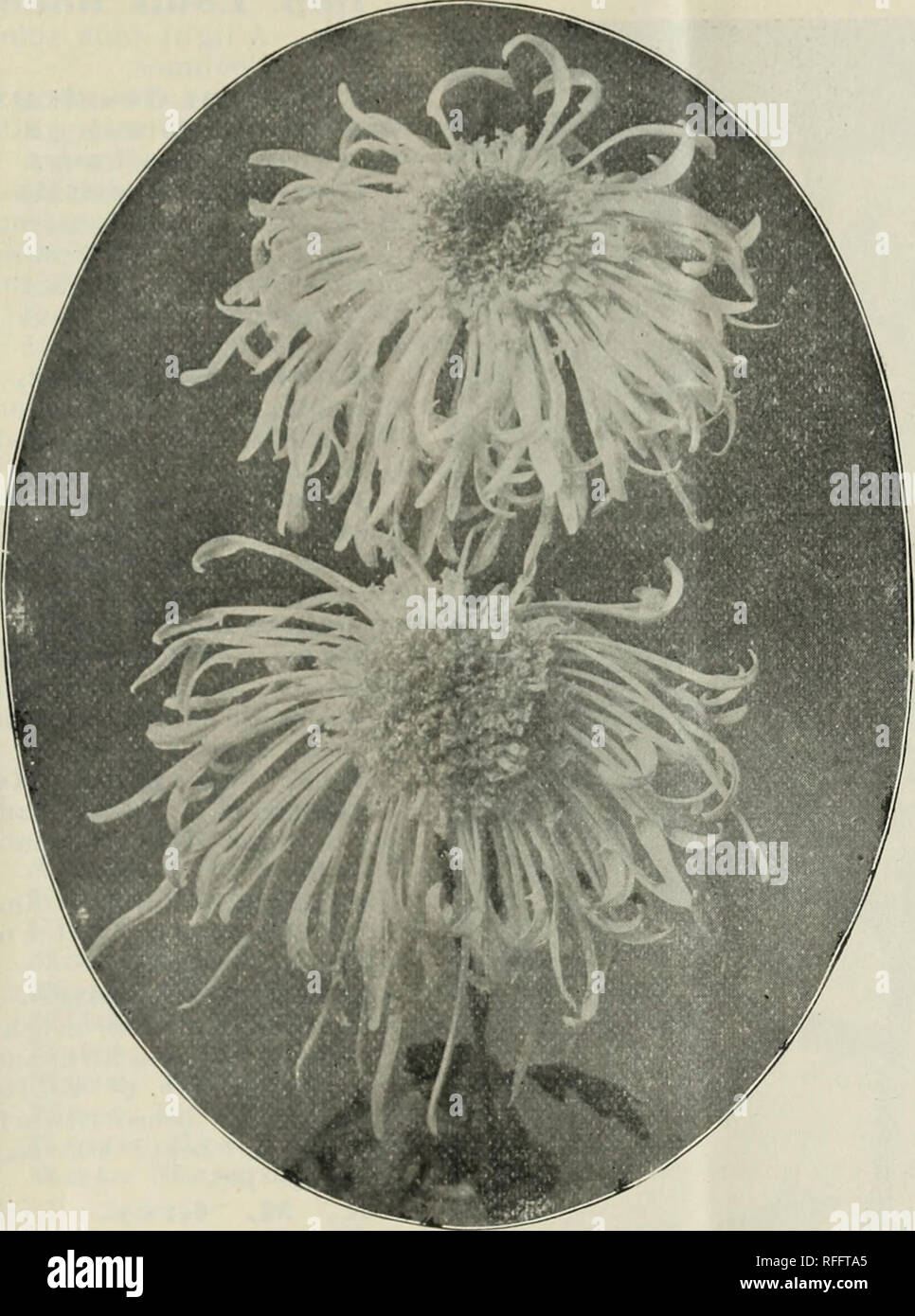 . A complete list of the latest novelties. Nursery stock Michigan