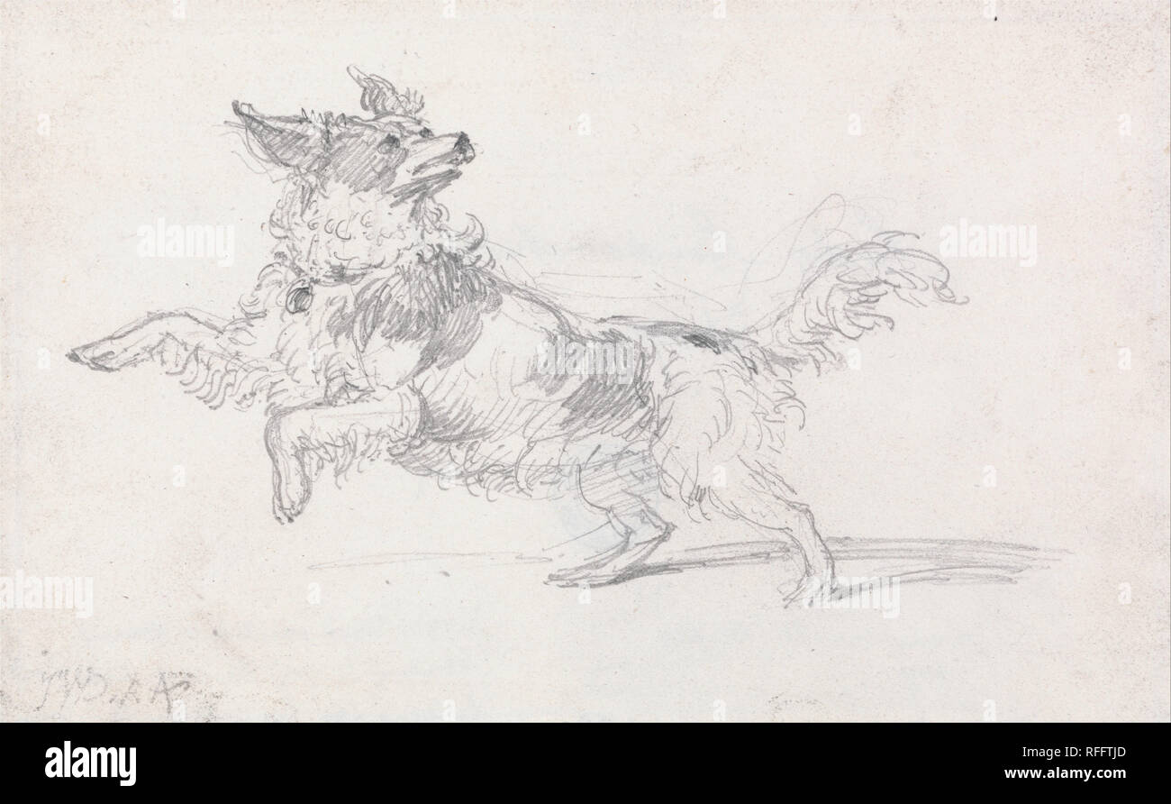 Lady Londonderry's Dog. Drawing. Graphite on medium, smooth, cream wove paper. Height: 137 mm (5.39 in); Width: 219 mm (8.62 in). Author: James Ward. Stock Photo