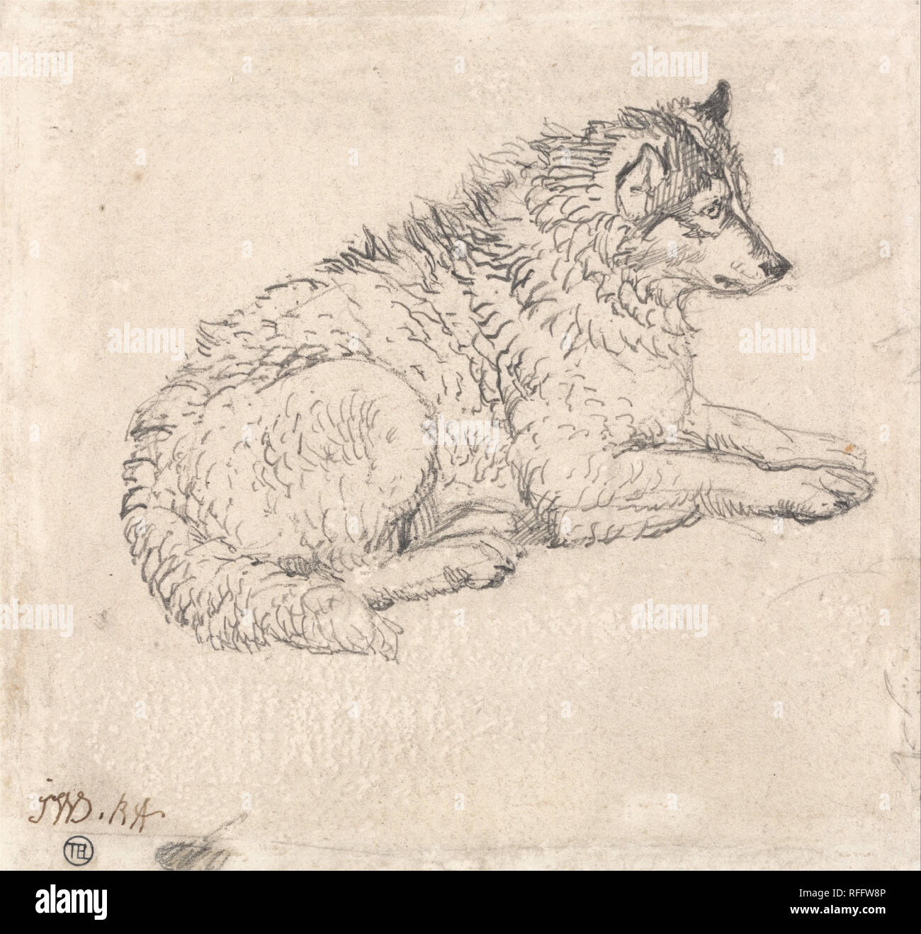 Arctic Dog, Facing Right. Drawing. Graphite on medium, slightly textured, cream wove paper. Height: 171 mm (6.73 in); Width: 184 mm (7.24 in). Author: James Ward. Stock Photo