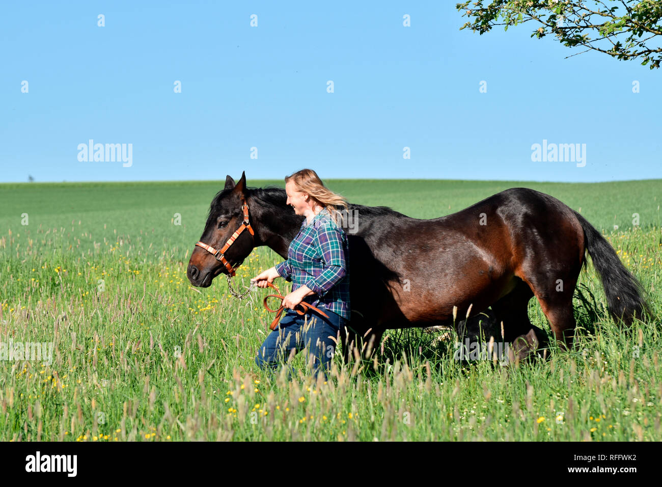 Horses Mating With People